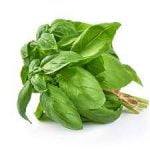 Bazilika ēteriskā eļļa 5ml