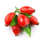 Savvaļas rožu eļļa 30 ml