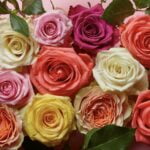 Roze - dabīgs aromāts 10 ml